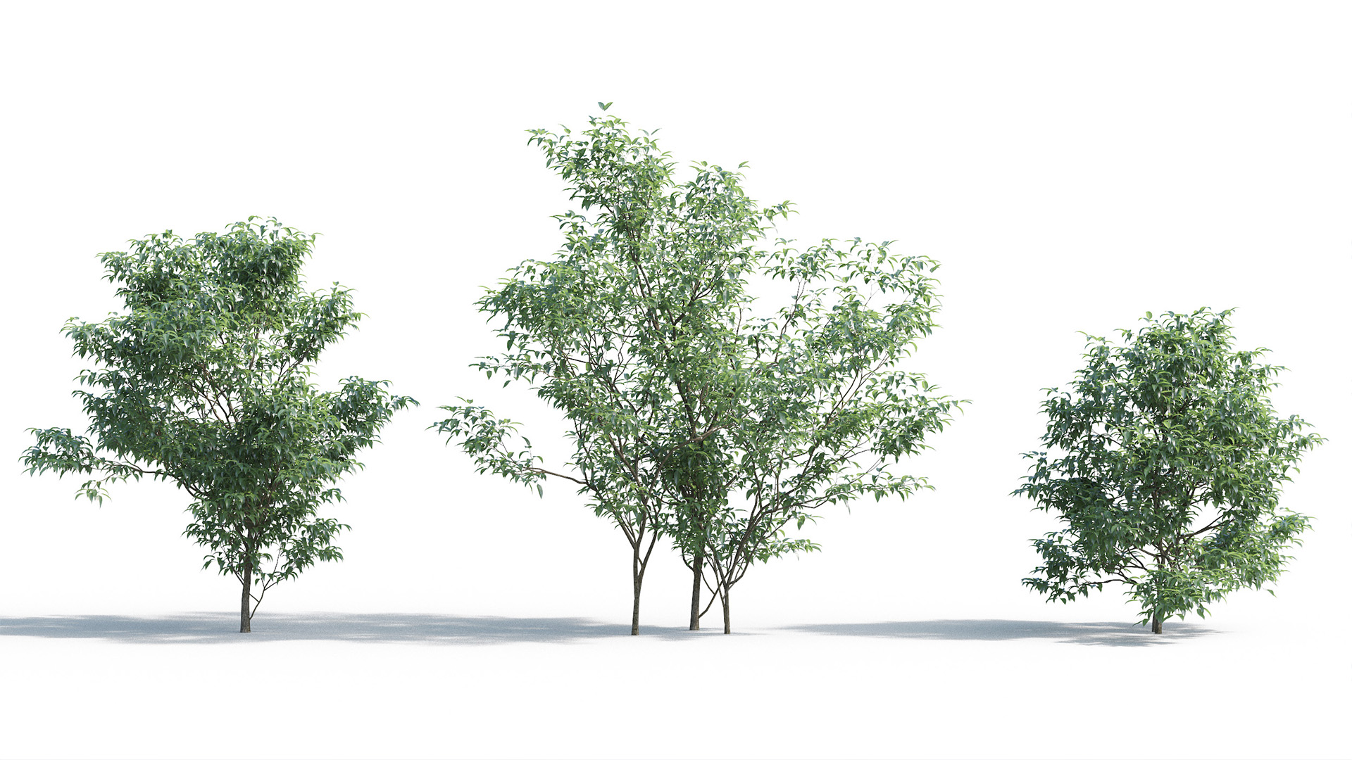 Blocos de Vegetação - 3Ds Max